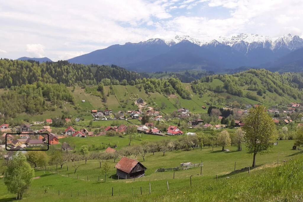 Casa In Curte La Zavate Villa Bran  Eksteriør bilde